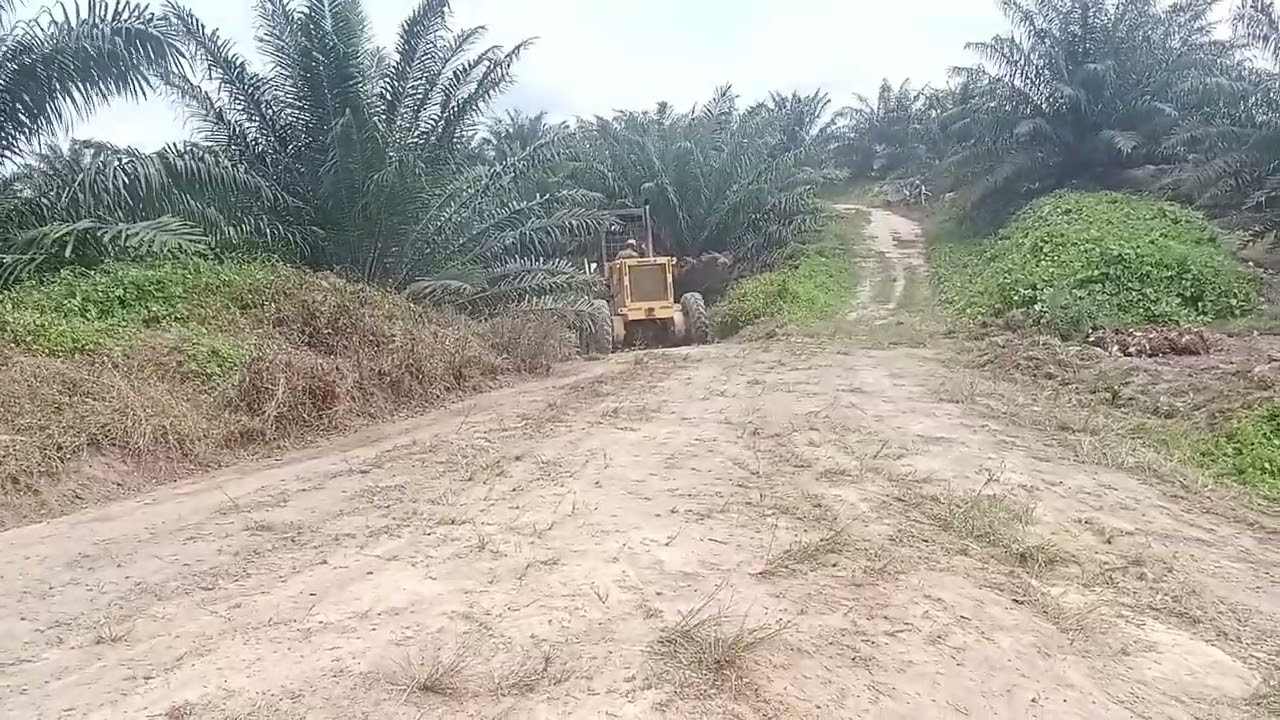 PERBAIKAN JALAN YANG BERUMPUT ❗❗ DENGAN ALAT BERAT GLEDER 