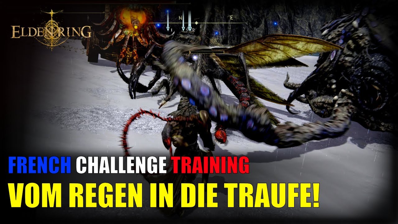 Wenn Farmen außer Kontrolle gerät! | Elden Ring Randomizer | French Challenge Training