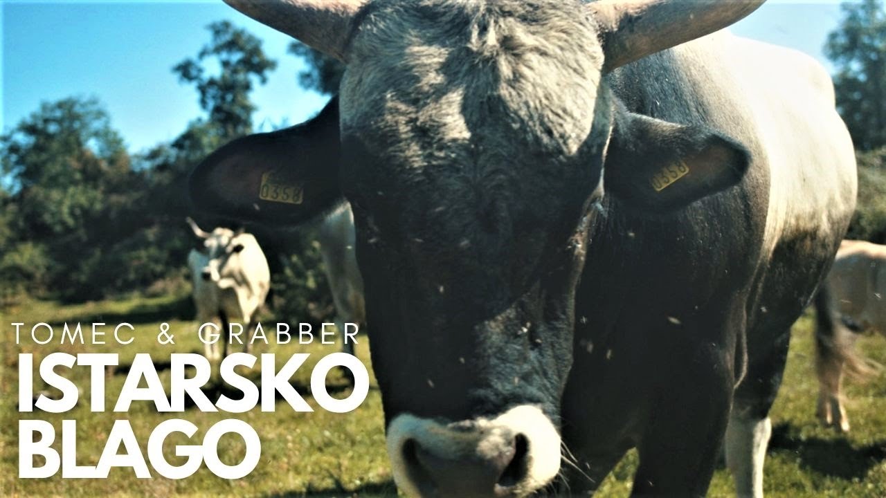 Istarsko blago - Tomec & Grabber feat. Tamara Obrovac & Tone 