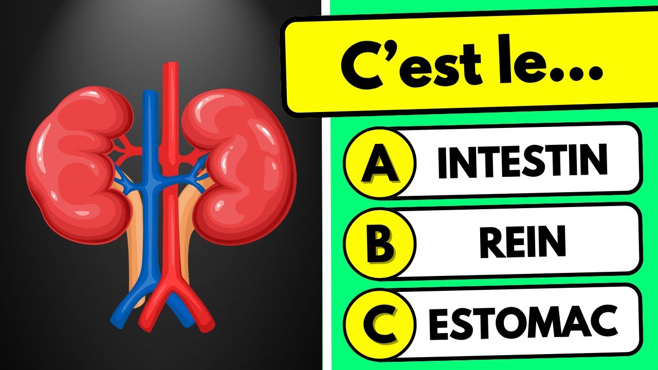 Connais-tu le corps humain...? 🧠🧍 Quiz de Culture Générale sur l'ANATOMIE