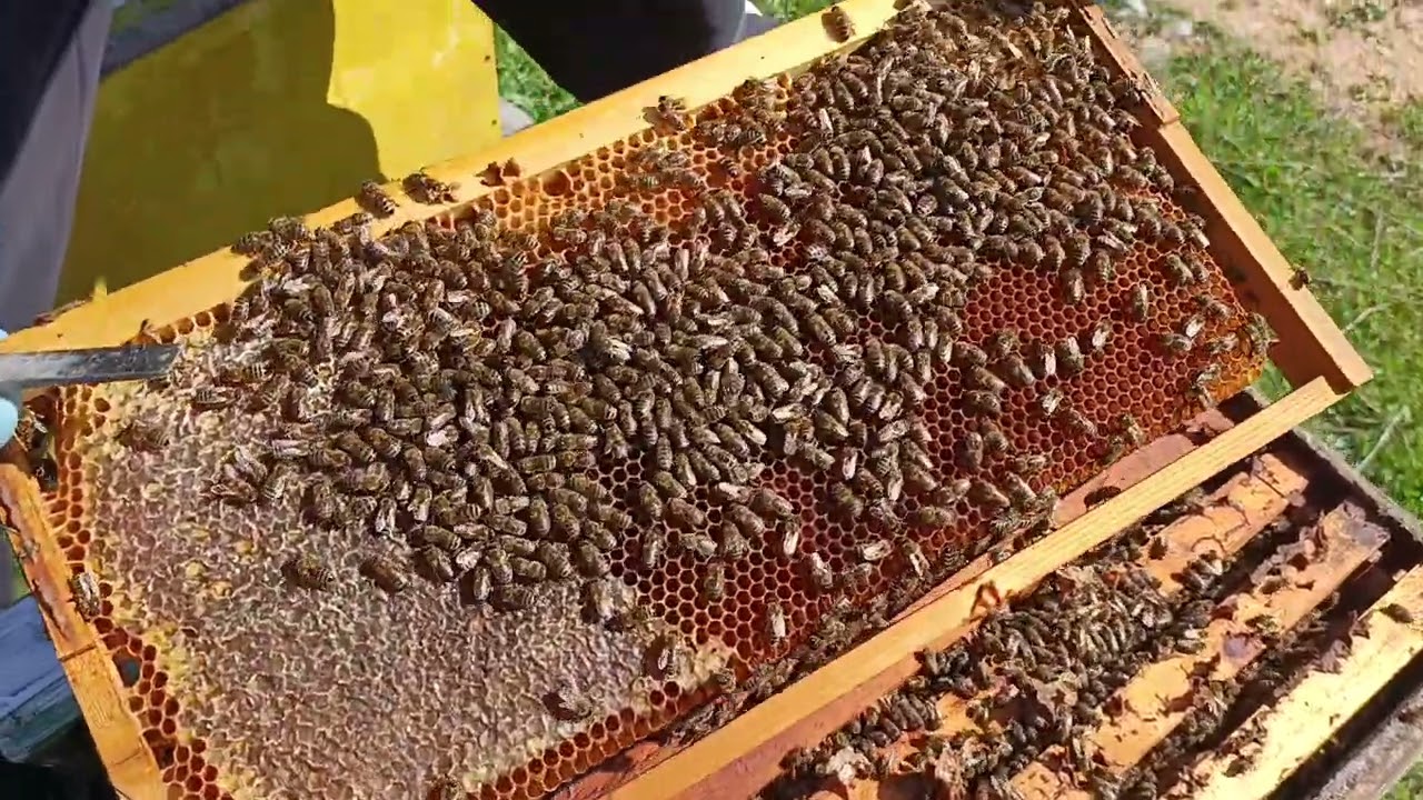 1 Μαρτίου 2026