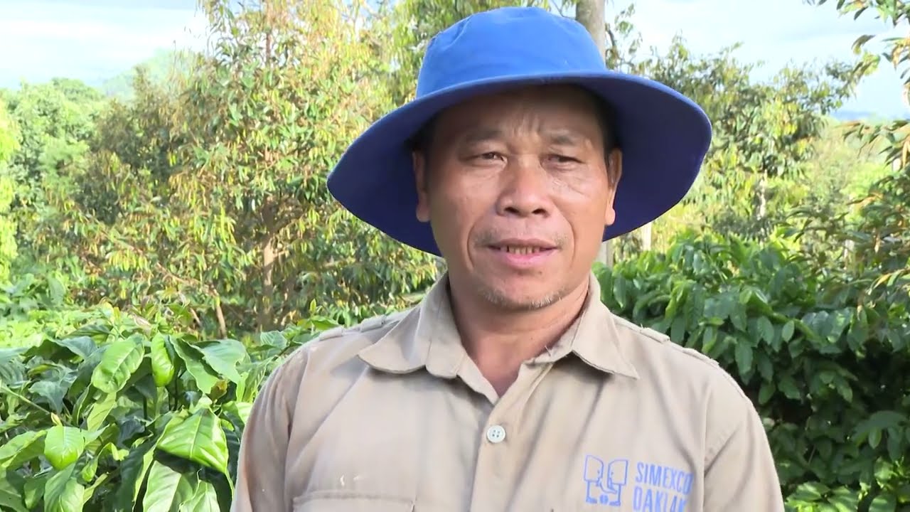 ĐẨY MẠNH ÁP DỤNG KHOA HỌC CÔNG NGHỆ TRONG SẢN XUẤT CÀ PHÊ