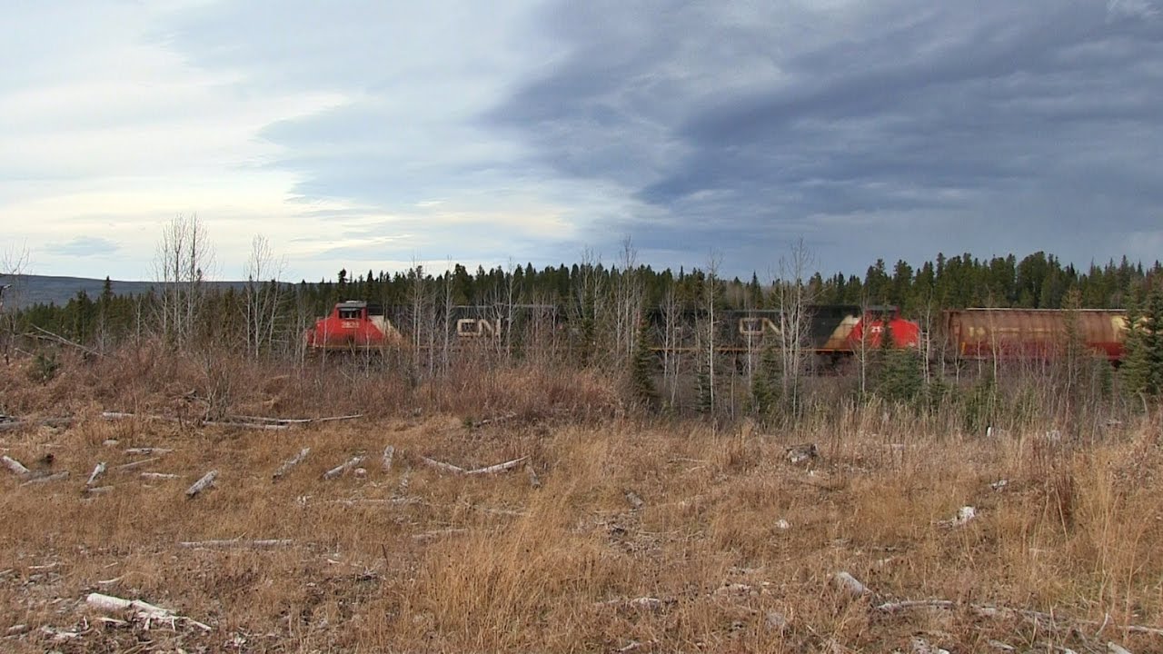 CN Train Spotting HD: CN 2828 & 2137 Leads CN M309 At Hinton AB w/ K5HLL Action 11/17 11/13/16