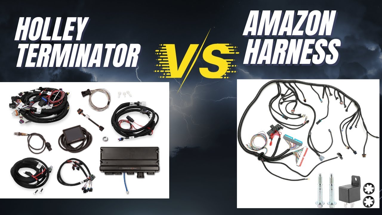 Holley Terminator OR Cheap Harness?