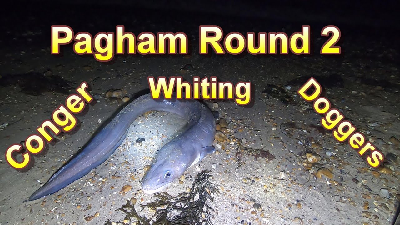 Pagham Round 2