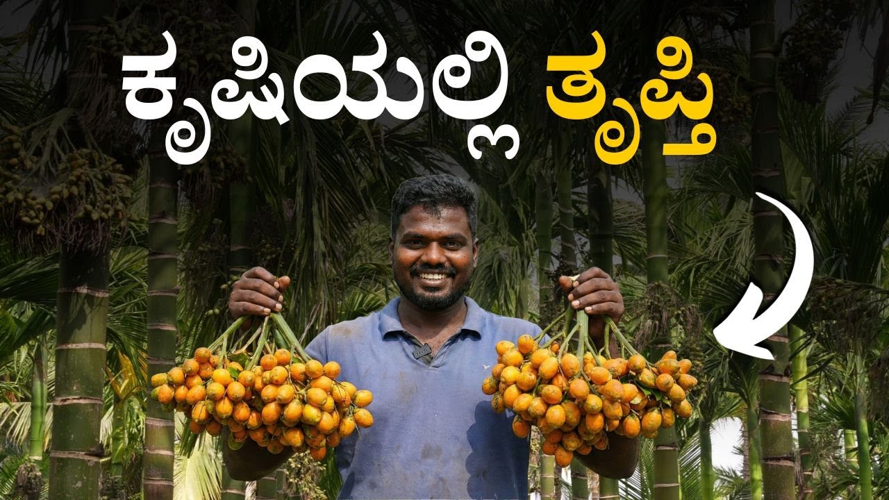 Integrated Arecanut Farming:  ಅಡಿಕೆ ತೋಟದಲ್ಲಿ ಭಾರೀ ಬದಲಾವಣೆ । ಮಣ್ಣು ಮೃದು ಆಗಲು ಕಾರಣ ಏನು?