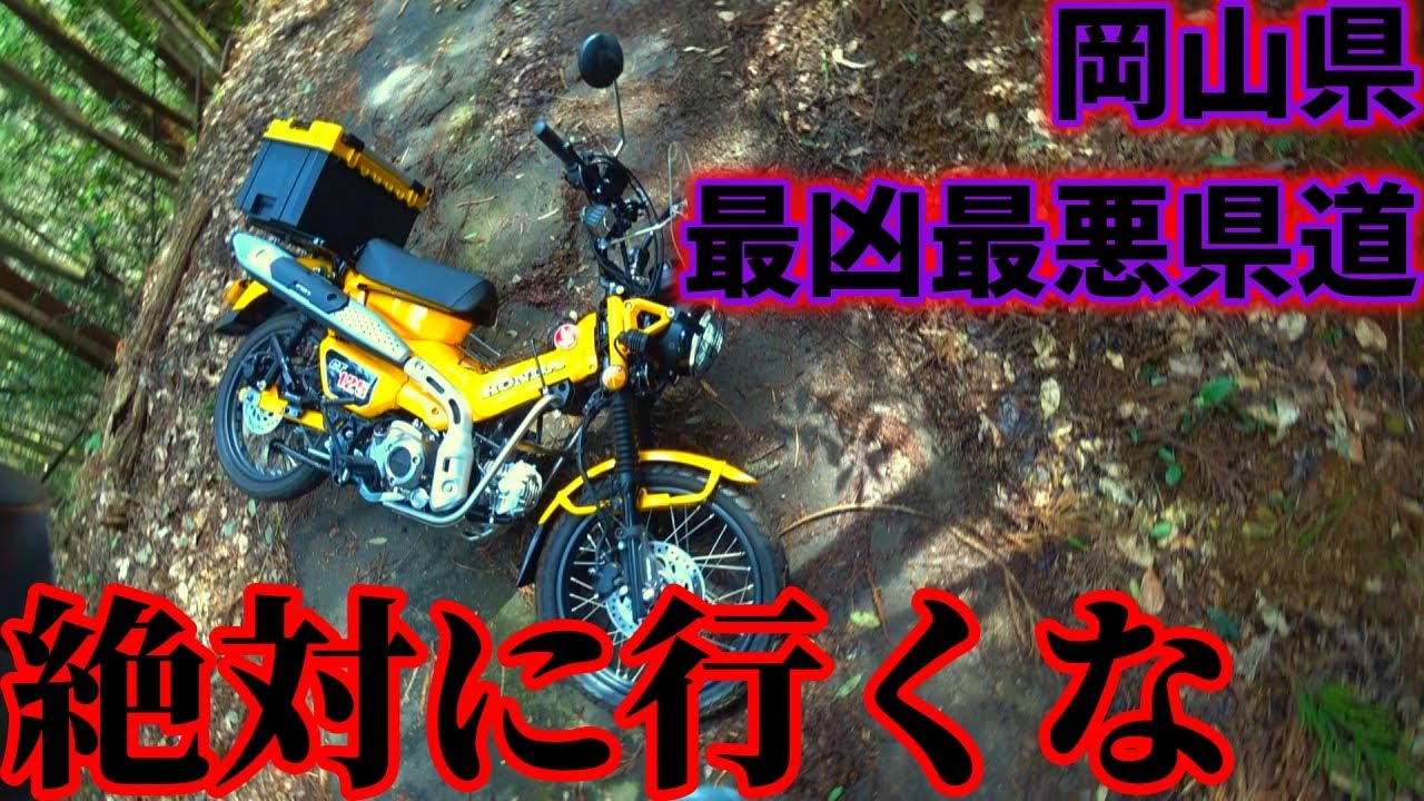 岡山県最凶最悪”険道”・県道455号に果敢に挑み、無事に散りました【HONDA　CT125】