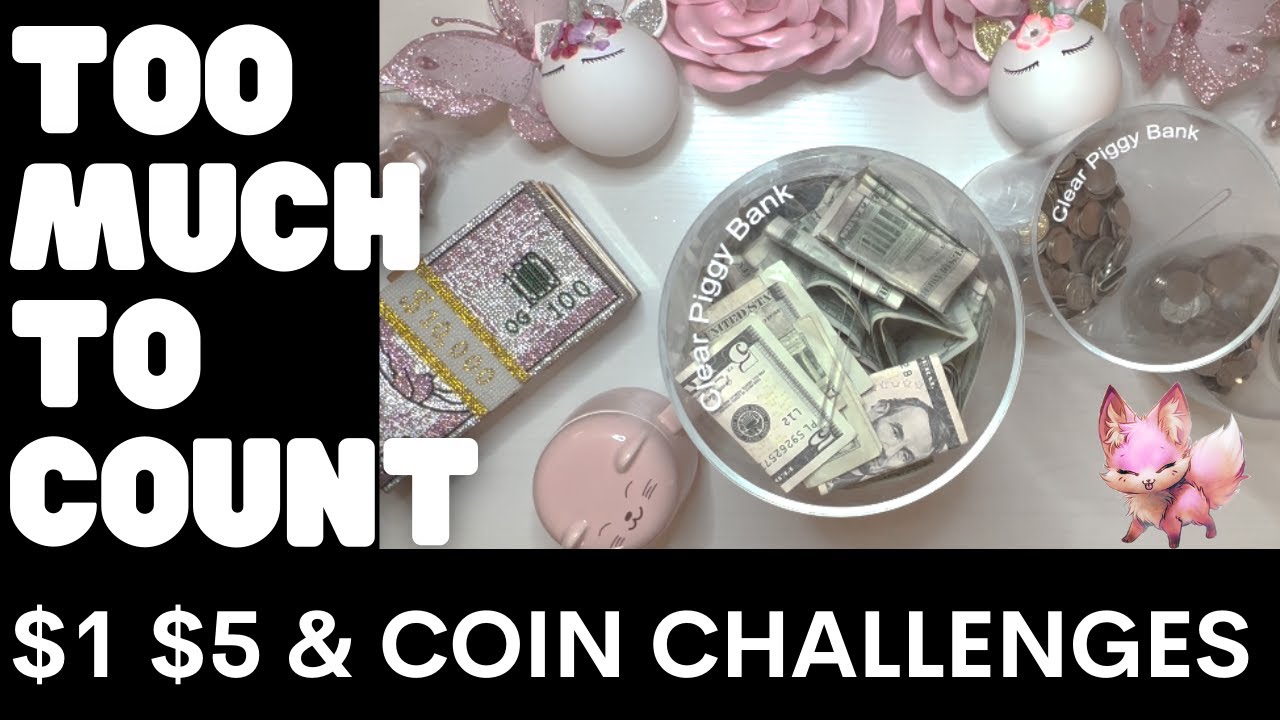 THE $1.00 $5.00 & COIN SAVINGS CHALLENGES | TOO MUCH MONEY TO COUNT | ROAD TO $10,000 | AUNTIE FOXIE