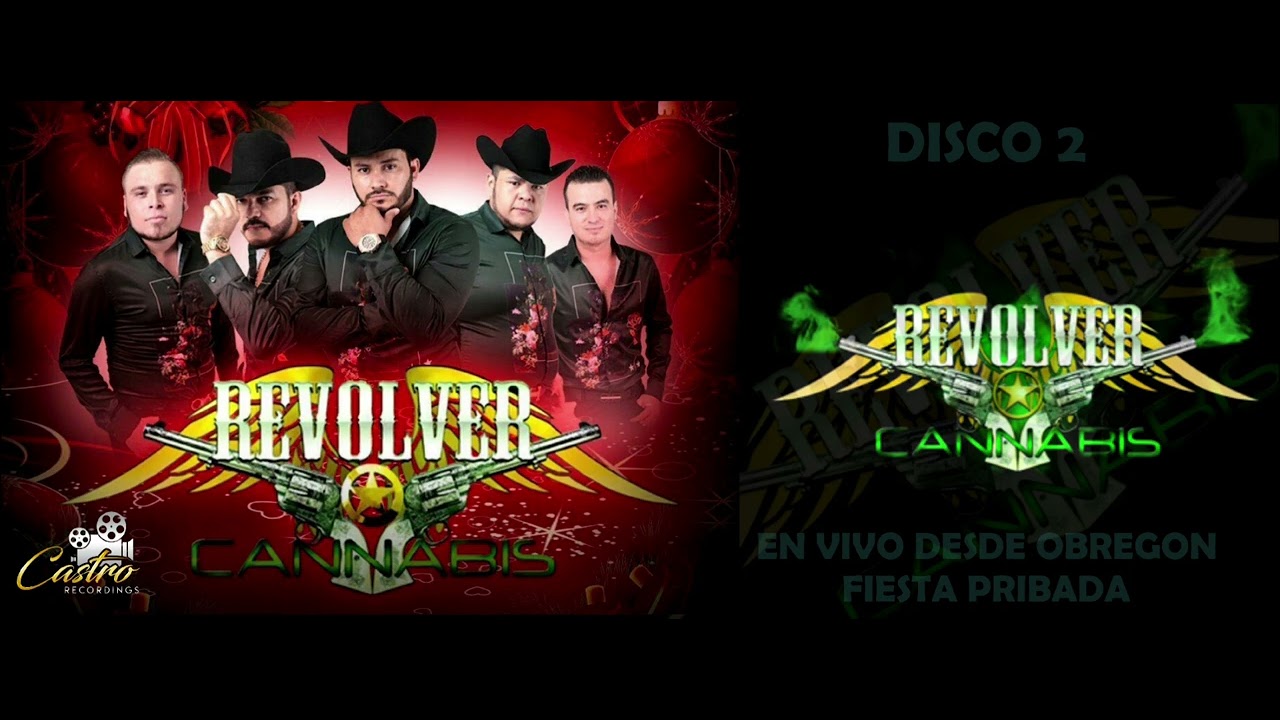 Revolver Cannabis en Vivo Desde Obregón Fiesta Privada