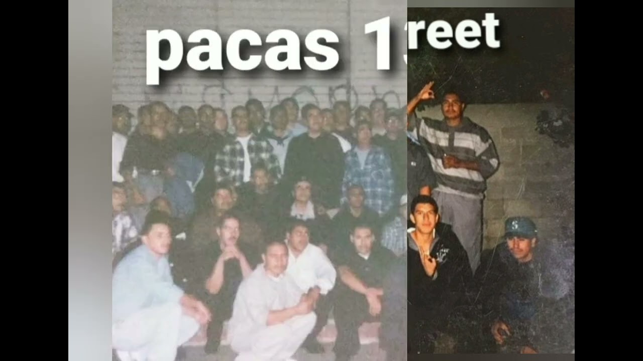 shout out to all the homies out that san fernando valley 818