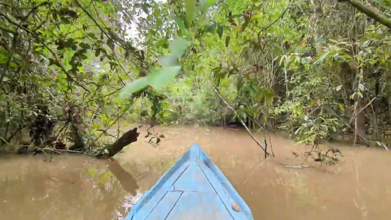 Boat ride in the Peruvian Amazon