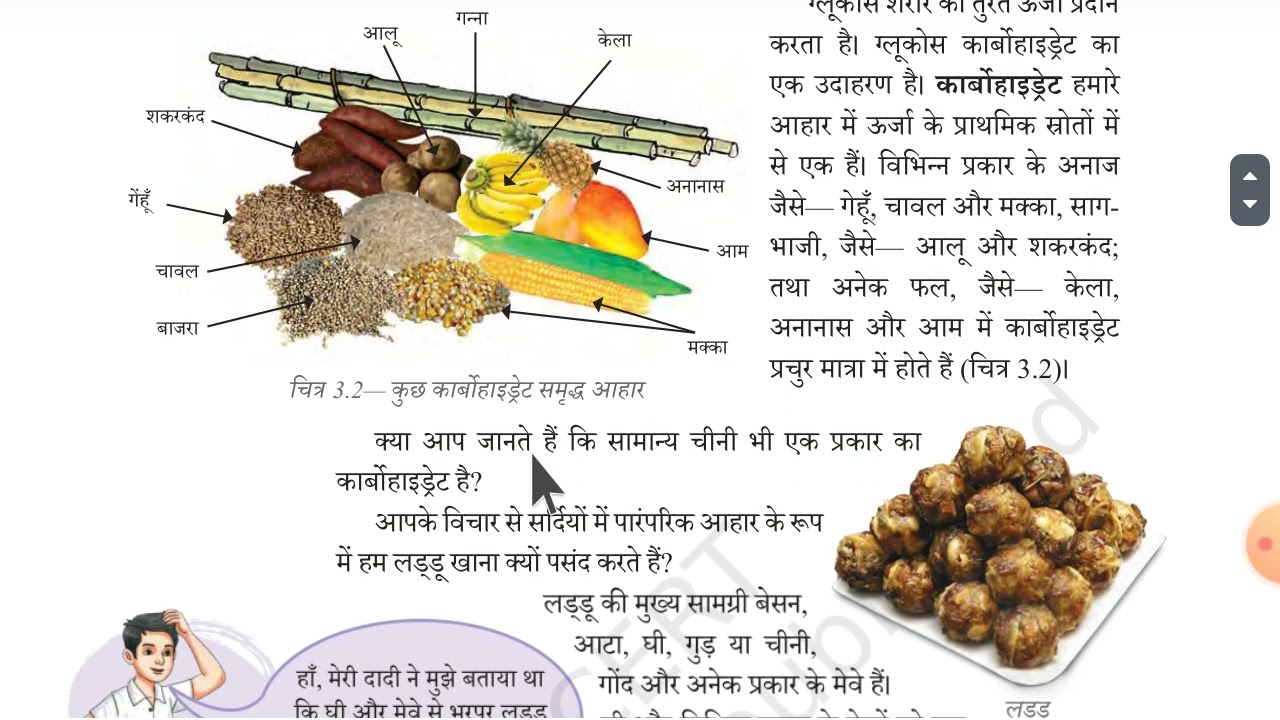 कक्षा 6 विज्ञान जिज्ञासा अध्‍याय 3 उचित आहार – स्वस्थ शरीर का आधार