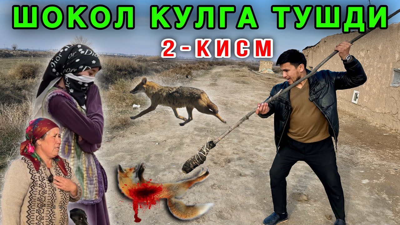 😱 Тезкор. Шоқол Ушлаб олдим. Бугун Дахшат Янгилик бор 🔥 2-қисм