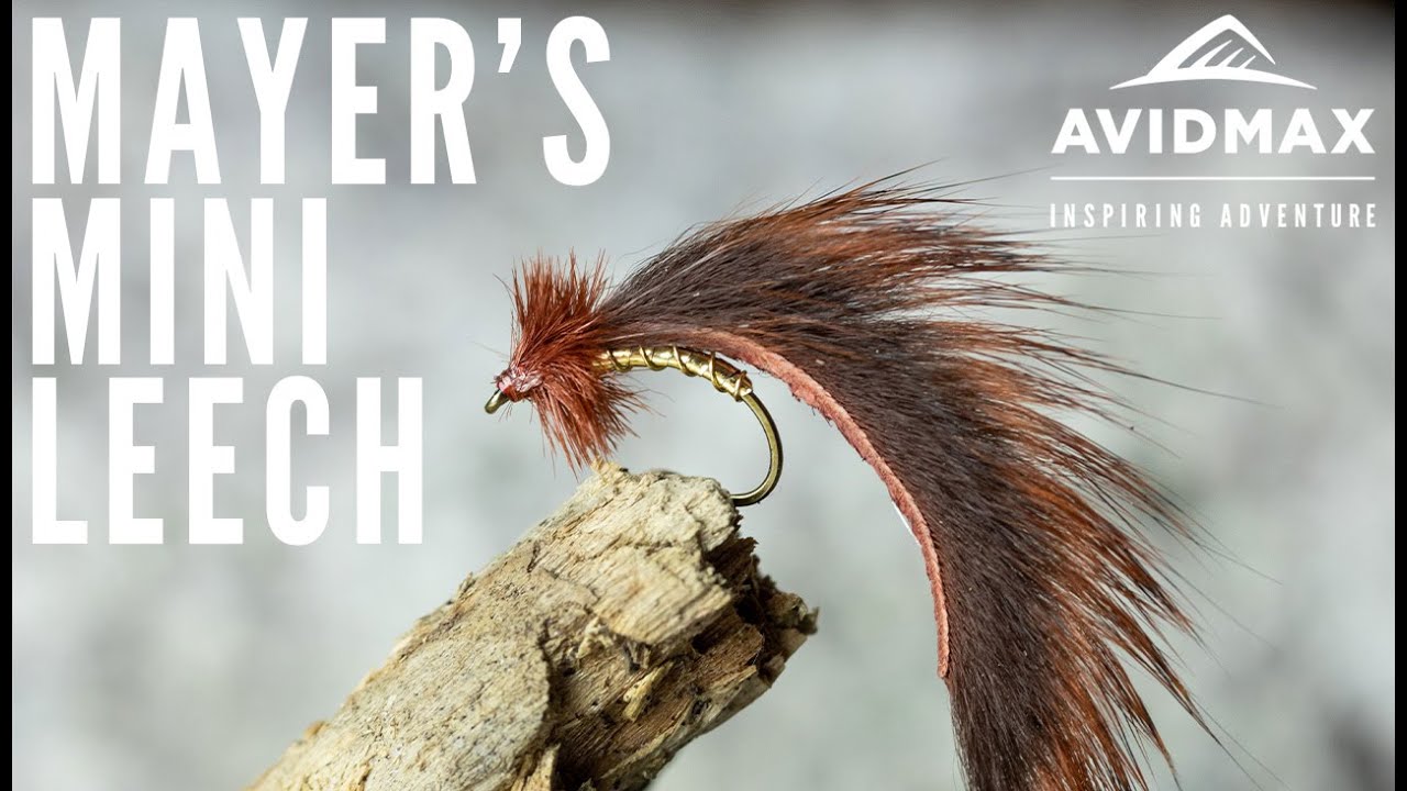 How to tie Mayer's Mini Leech | AvidMax Fly Tying Tuesday Tutorials
