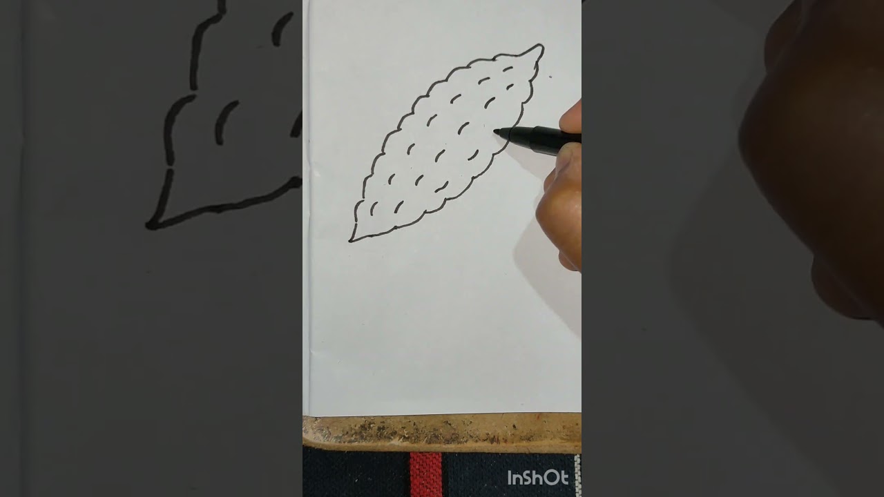 easy drawing of bitter gourd