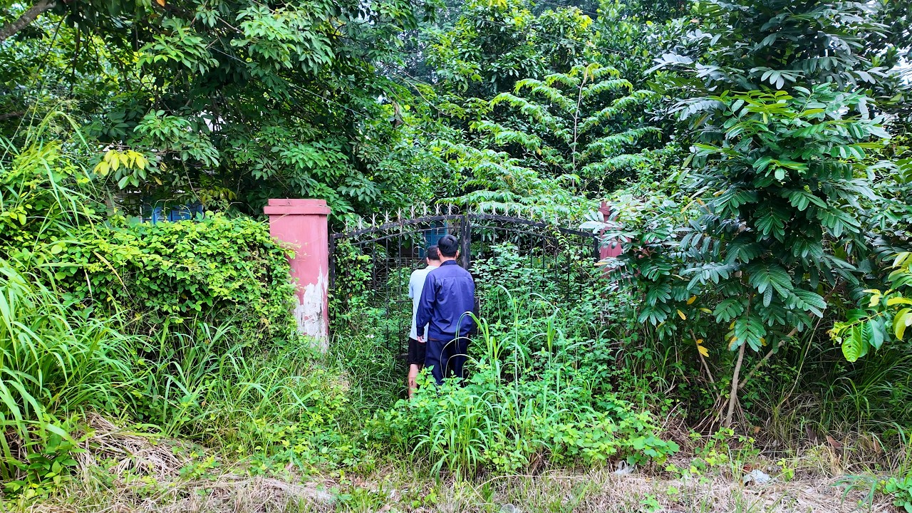 I Spent 90 Days Transforming an Abandoned Farm &mdash; Building a Self-Sufficient Life