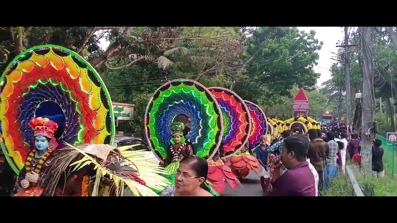 Vadakkumkara puuram Cherthala pallippuram#trending #viral #viralvideo #trendingvideo #festival 