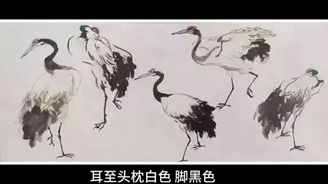 鹤的画法小结及名家画作欣赏/A summary of crane painting methods & appreciation of paintings ‖Chinese painting2023