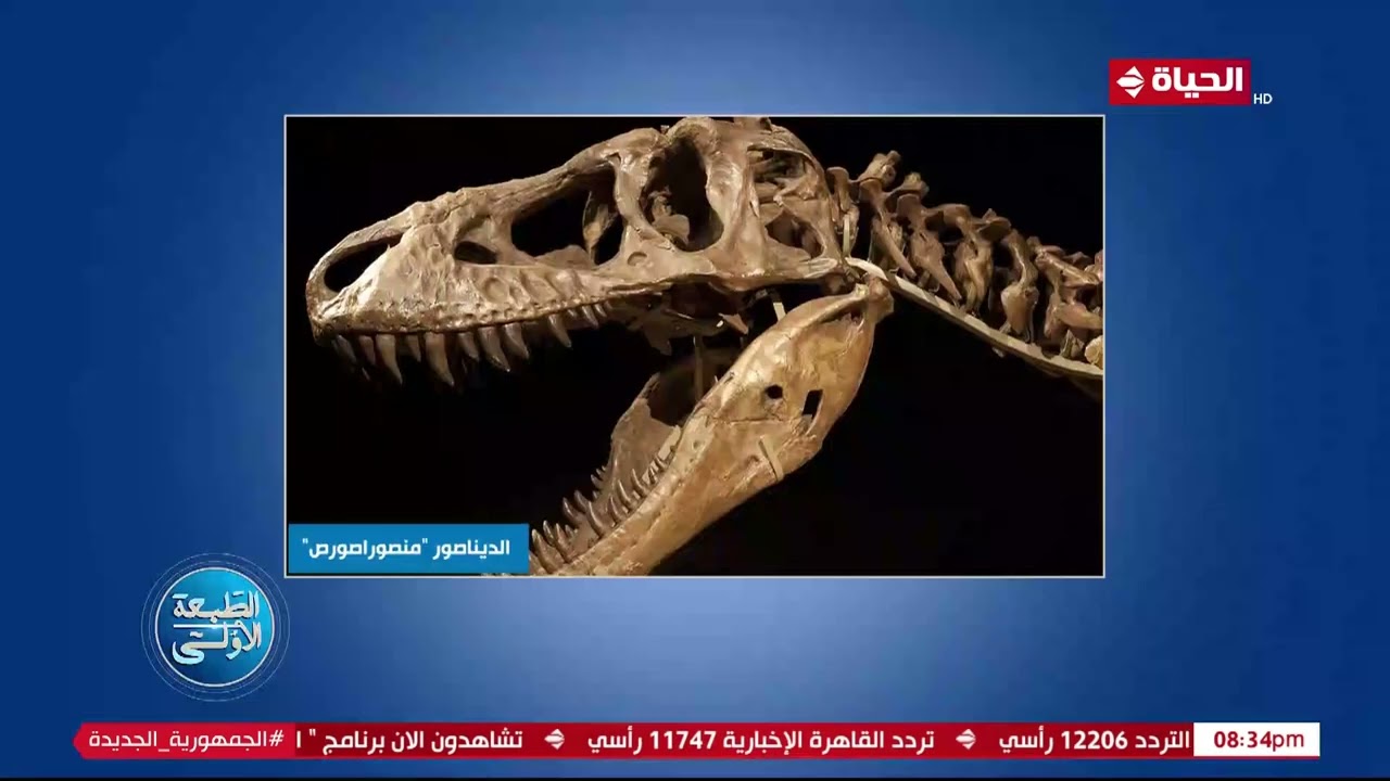 أحمد المسلماني في الطبعة الأولى: المتحف الجيولوجي.. القوة الناعمة المصرية