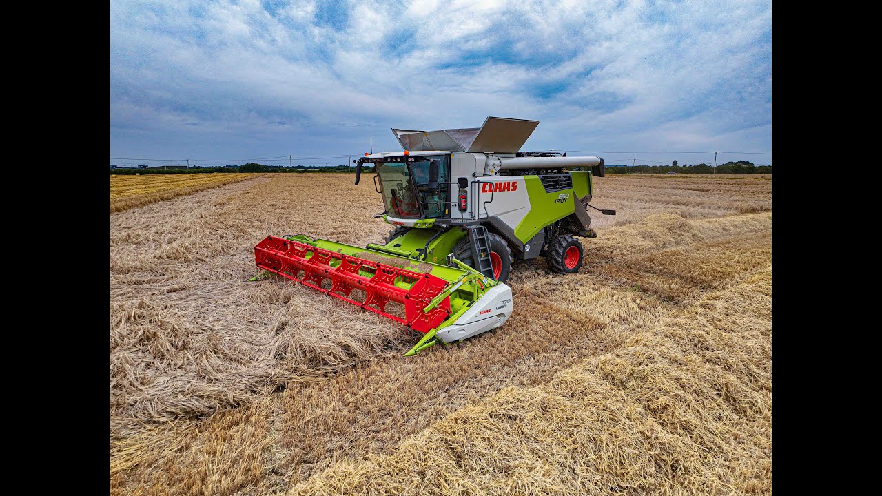 Claas Trion 650 (4K)