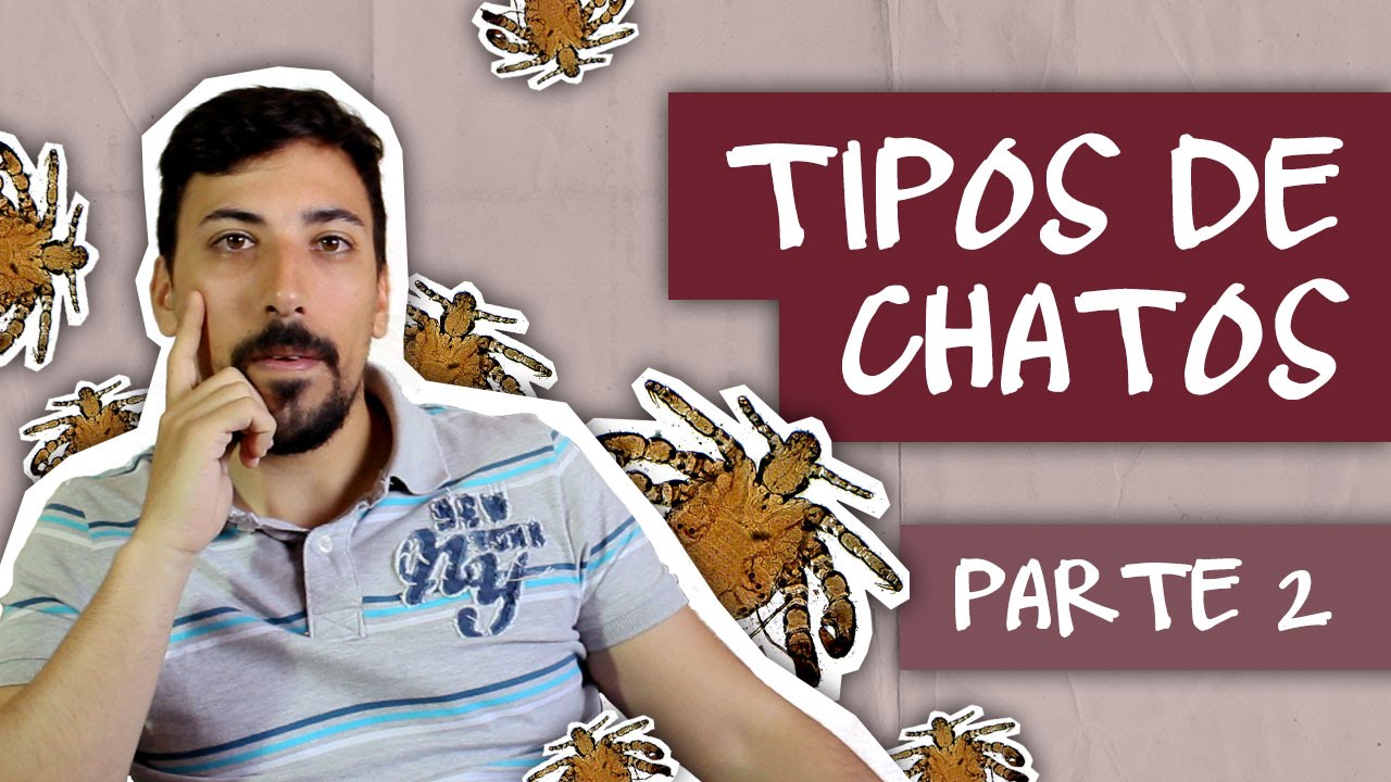 TIPOS DE CHATOS - PARTE 2