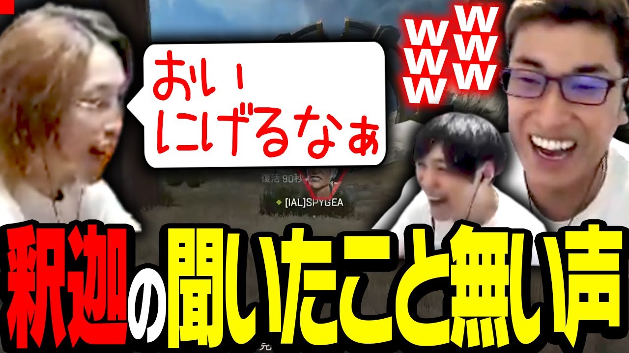 久しぶりの3BR集結で、聞いたことない釈迦の叫び声に爆笑する関優太【ApexLegends】