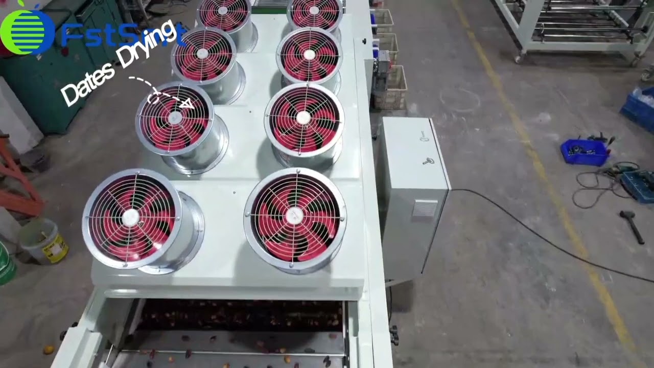 Date processing line washing drying sorting machine various fruits grade