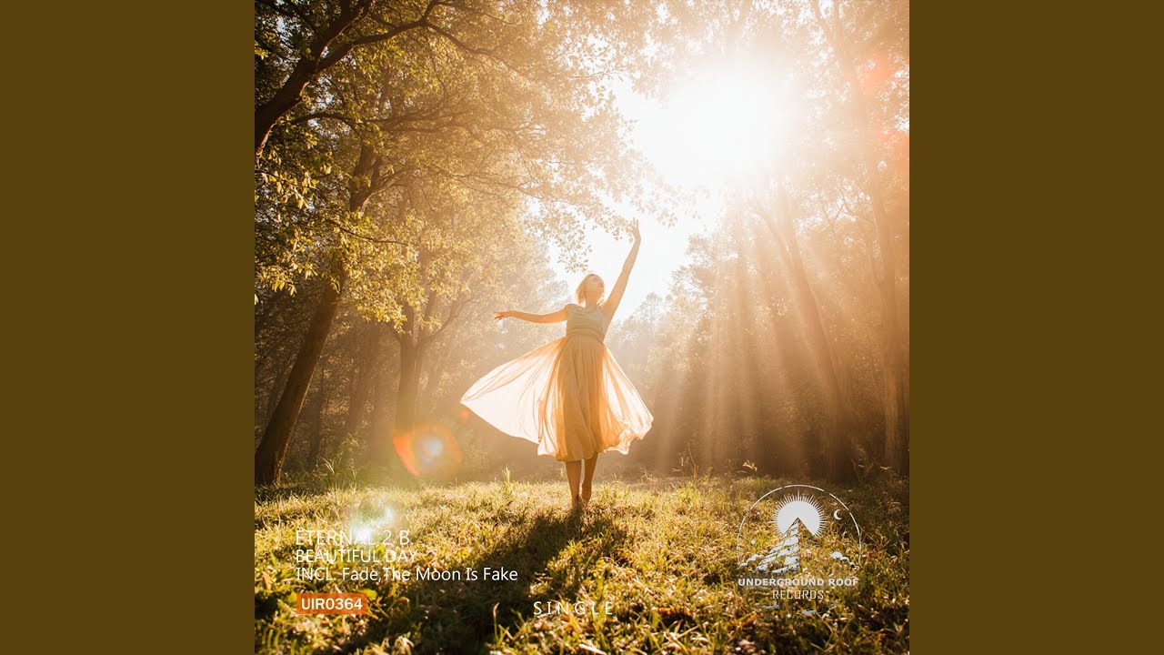 Beautiful Day (Original Mix)