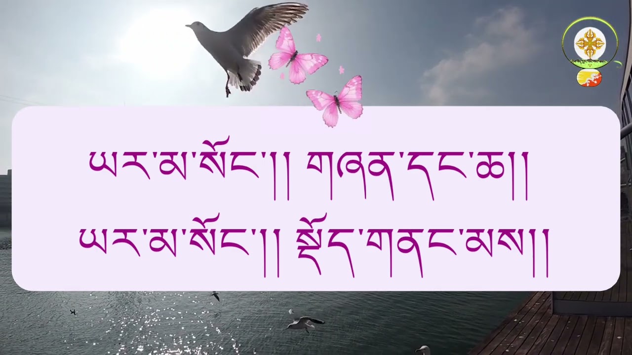 Chum thay tse tse wai tseroma by Lop Rubji phurpa. Lyrics, Vocal On