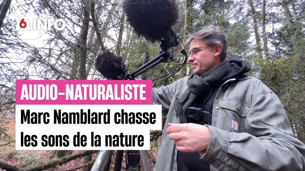 D&eacute;couvrez le m&eacute;tier d'audio-naturaliste