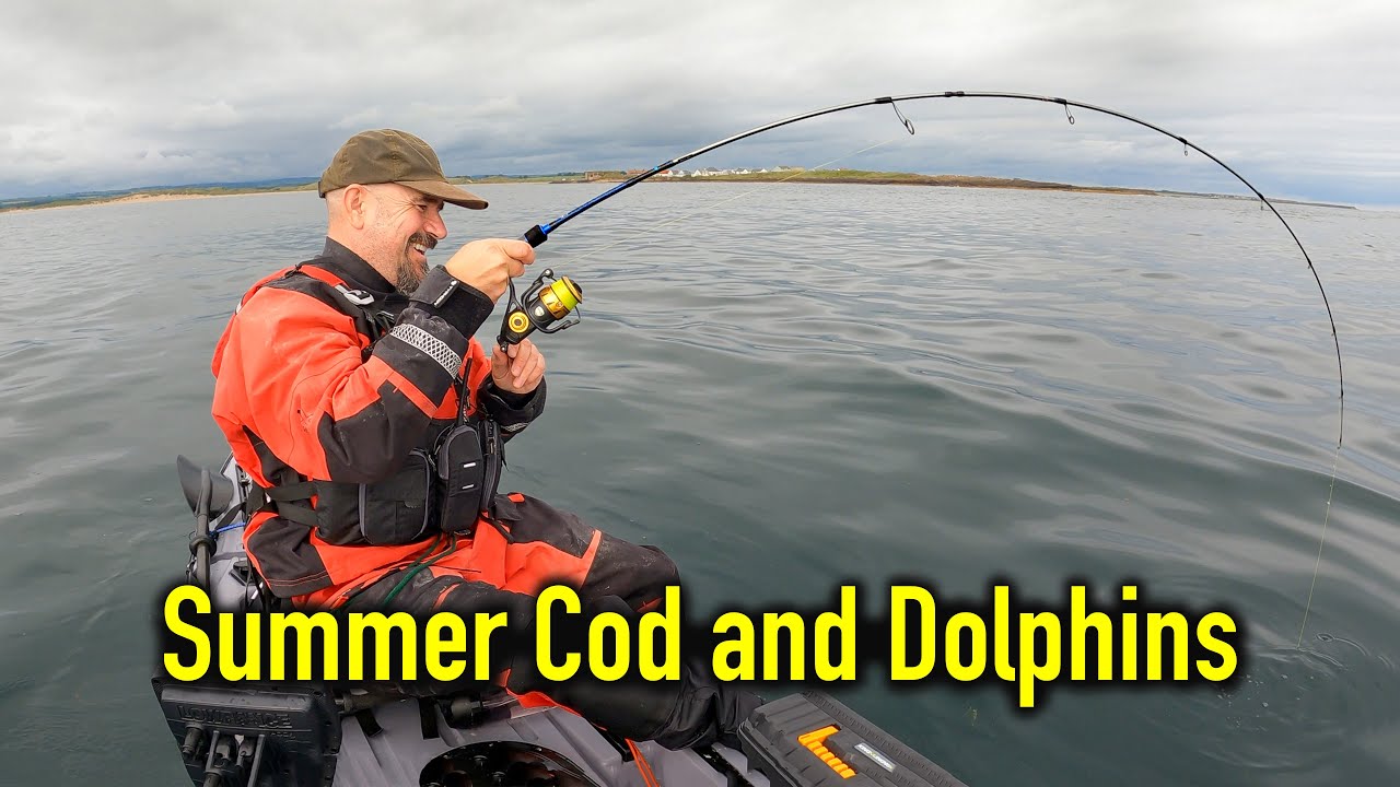 Great Session Lure Fishing for Summer Cod - Plus Dolphin Guard of Honour! - Kayak Sea Fishing UK