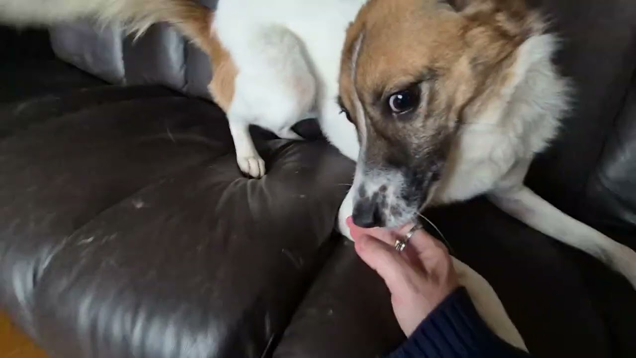 Gina