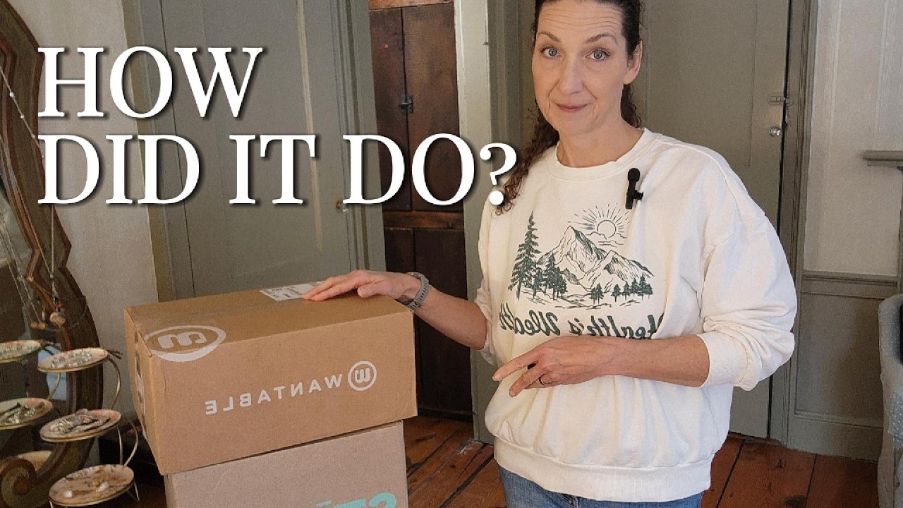 I Asked This Box for Budget-friendly Pieces — How Did It Do?