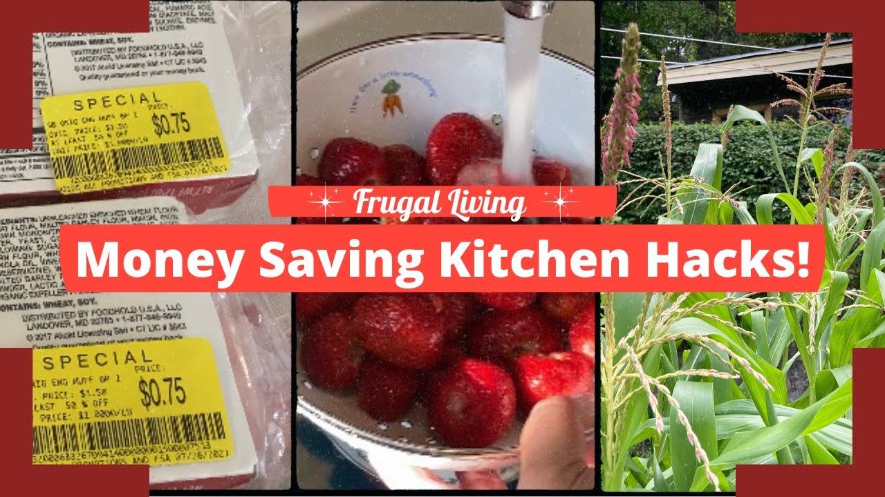 Money Saving Kitchen Hacks! Frugal Living! Grilled Chicken Salad!