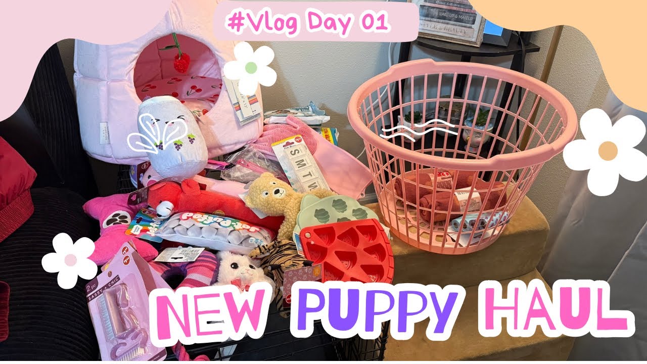 GET READY FOR NEW PUPPY | FRENCHIE PUPPY HAUL | ANY SUGGESTIONS? #frenchie #newpuppy #haul #dogs