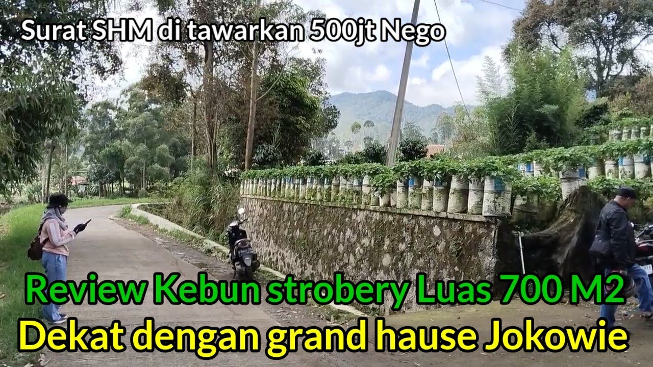 Pak jokowie Saja Bikin Grand hause Di sini Udara nya Sejuk khas Rancabali Tanah nya 10jt/tumbak
