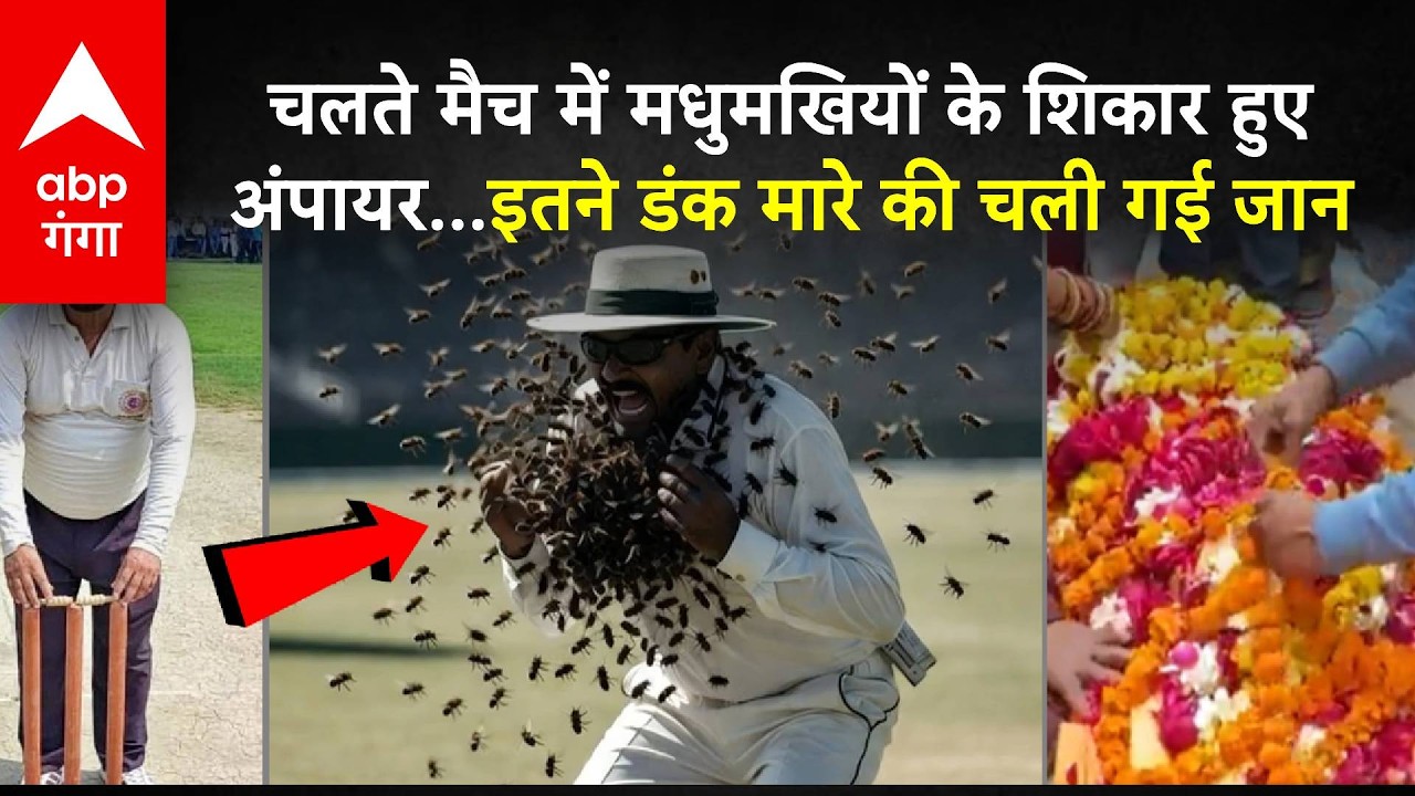 UNNAO UMPIRE CASE: चलते मैच में मधुमखियों के शिकार हुए अंपायर...इतने डंक मारे की चली गई जान | ABP