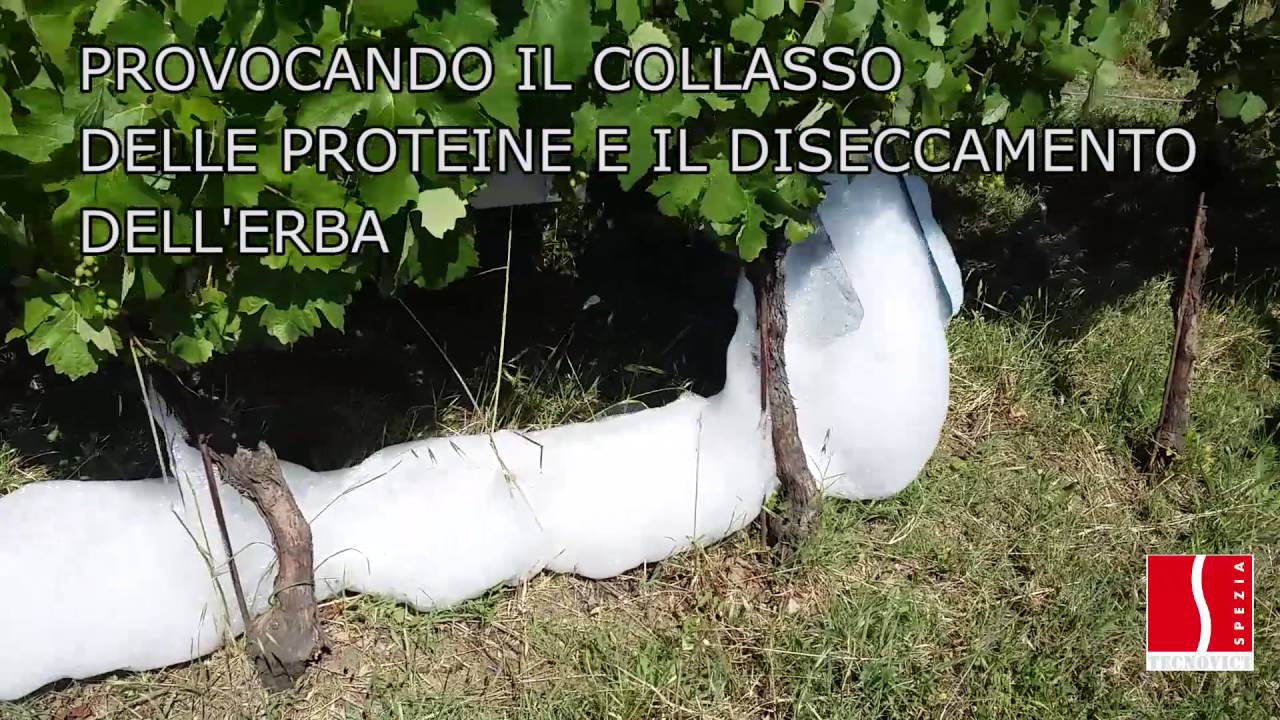 SCHIUMONE - diserbo termico ecologico | Ecological thermal weeding system with hot foam
