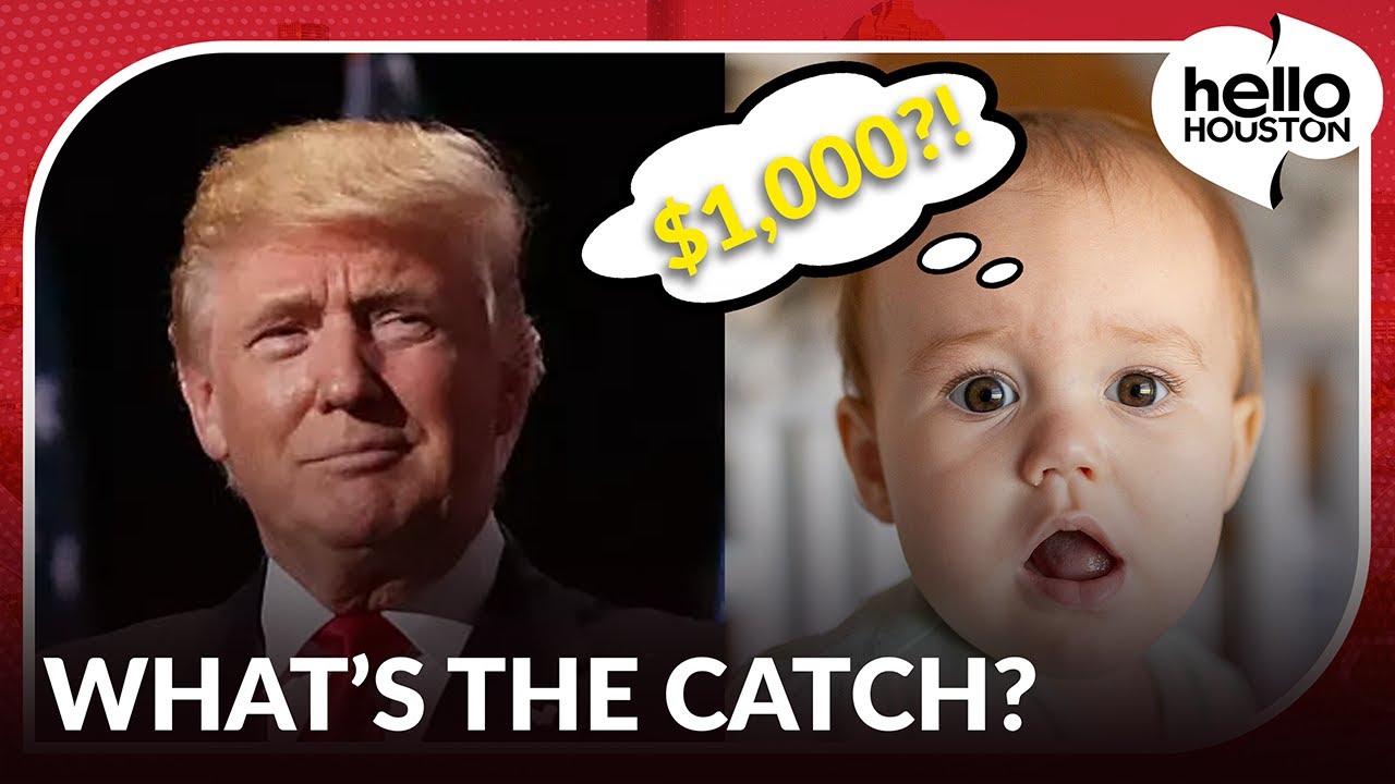 What Are Trump Accounts? How the $1,000 Baby Investment Works