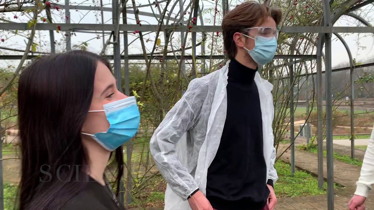 Vi presentiamo il Liceo Bruno-Franchetti: volete scegliere lo Scientifico?