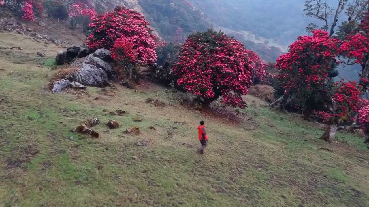 How good is (Tinjure लालीगुरांसको राजधानी)??