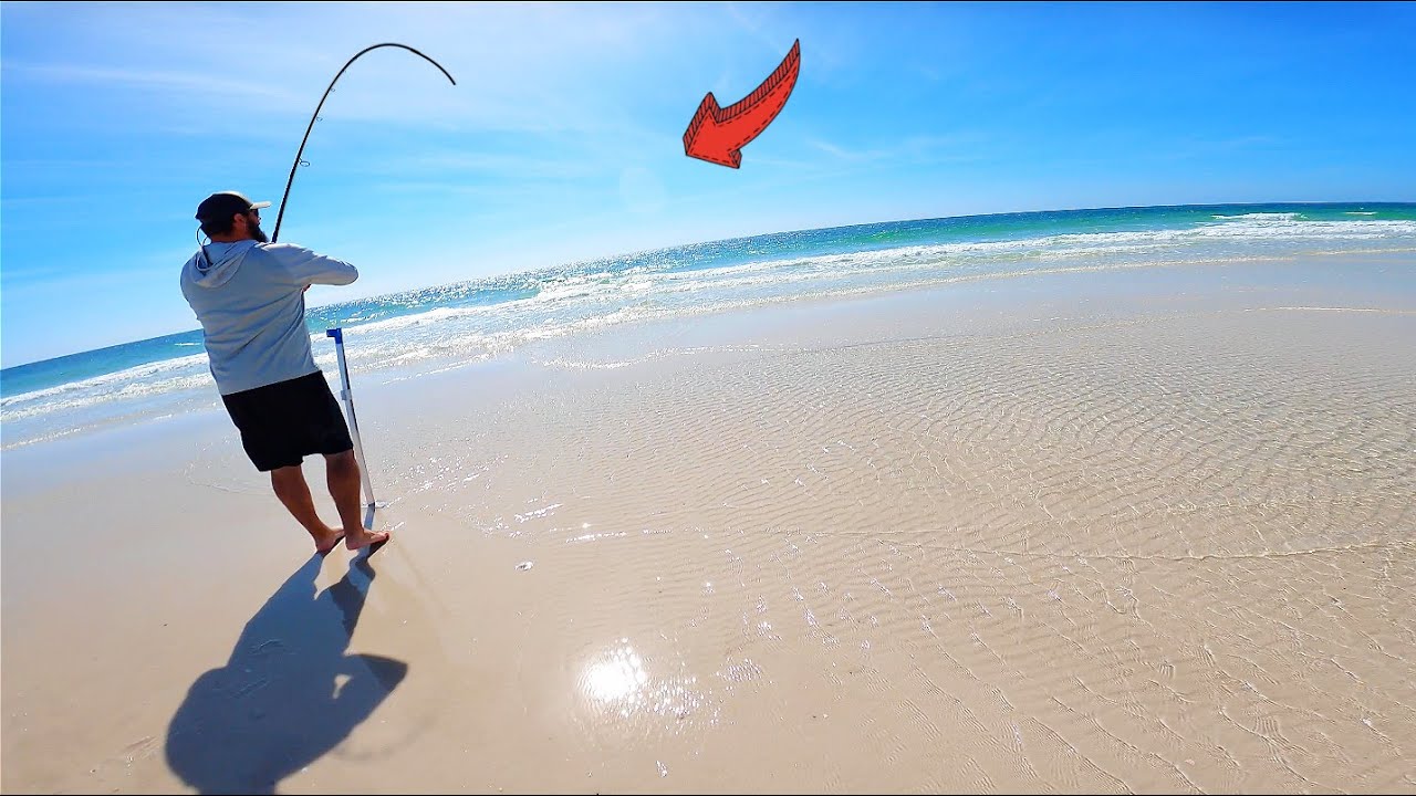 Late Winter & Early Spring Pompano Run! (Sooner Than EXPECTED)