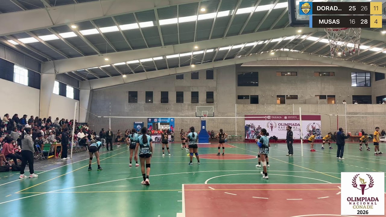 CONADE ESTATAL VOLEIBOL FEM CAT 12-13 DORADAS VS  MUSAS - POR EL 3ER LUGAR
DORADAS VS MUSAS