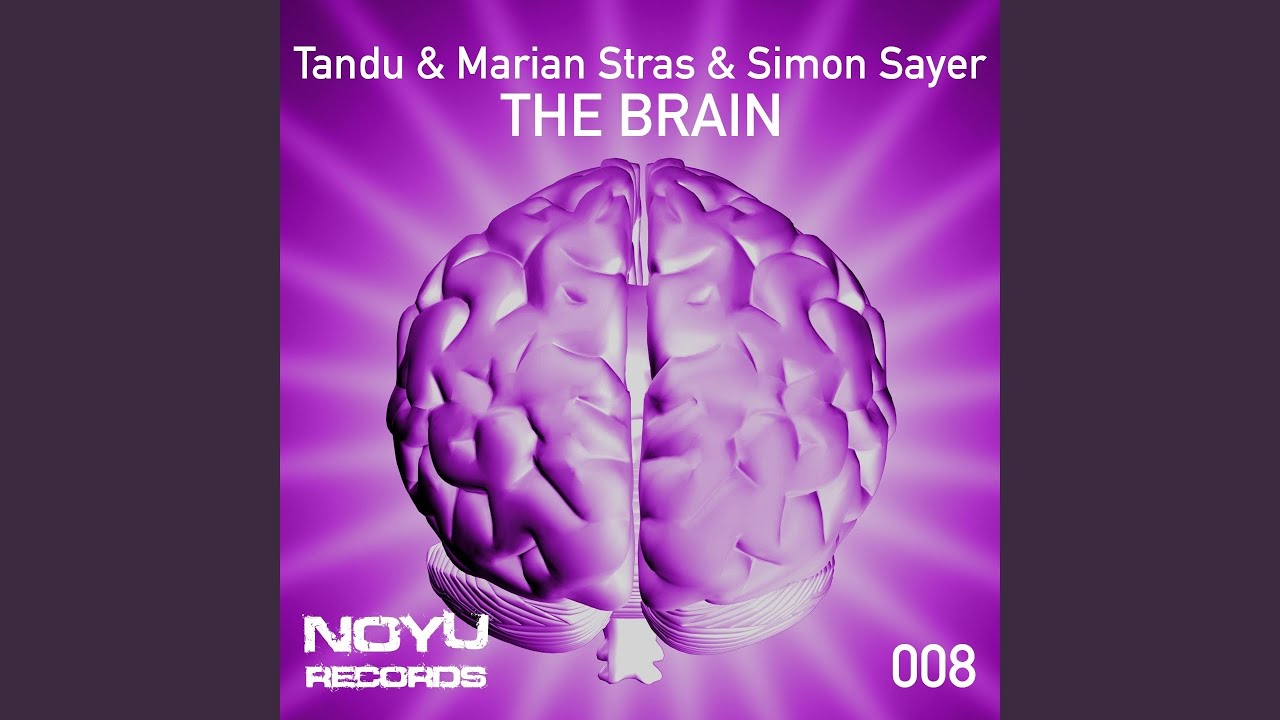 The Brain