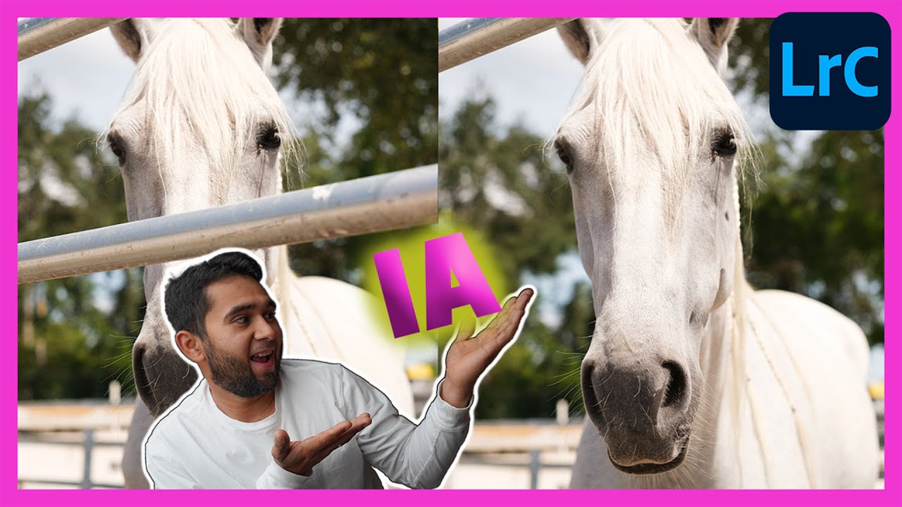 💥BORRADO INTELIGENTE en Lightroom Classic💥.....................(IA)