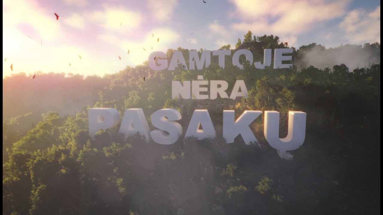 Gamtoje nėra pasakų. Skruzdėlių miesto gyvenimas.