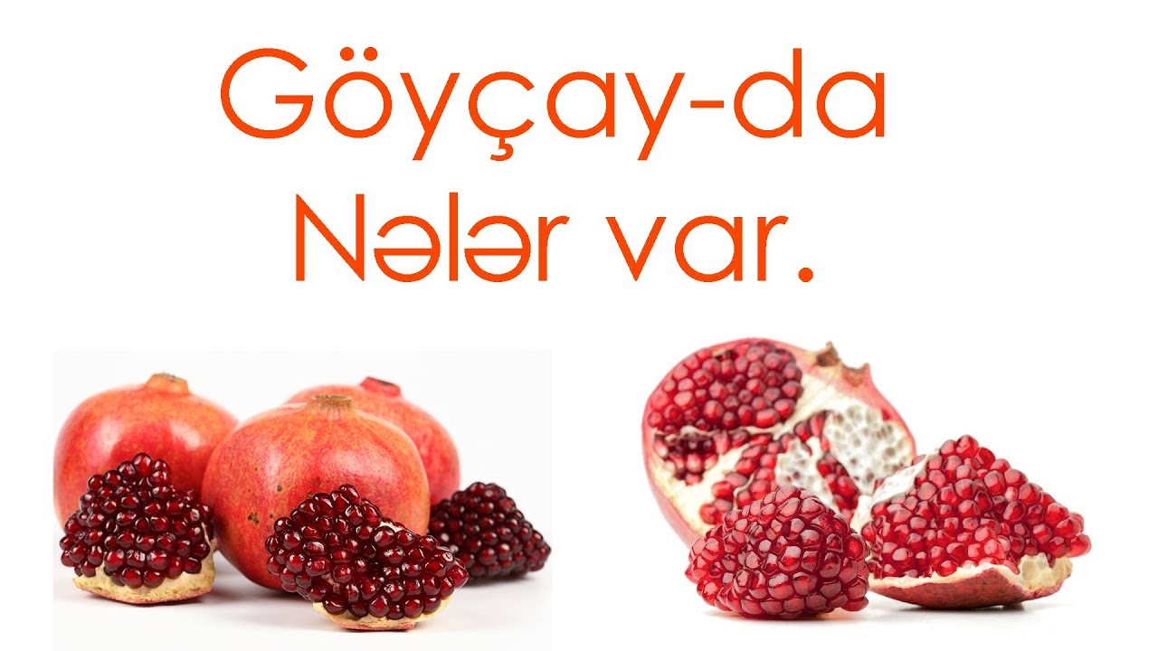 Göyçaya getdim. Goyçayın tarixi abidələri.