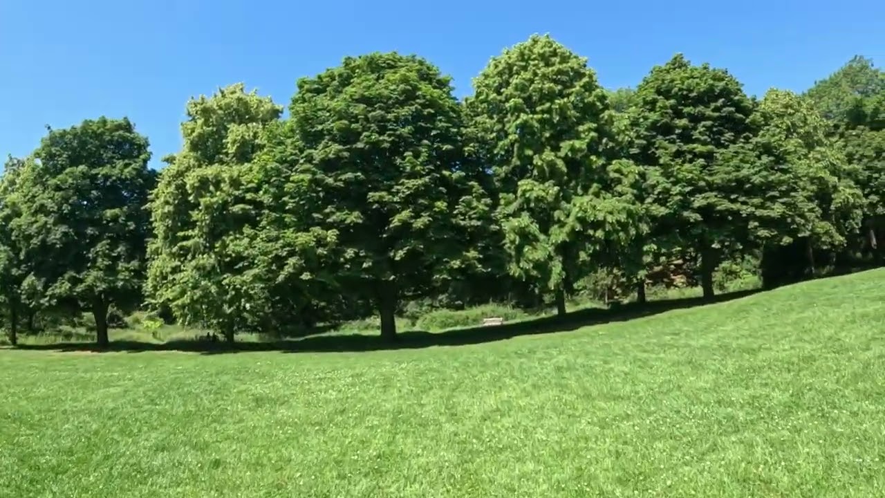 Letchworth Garden City,