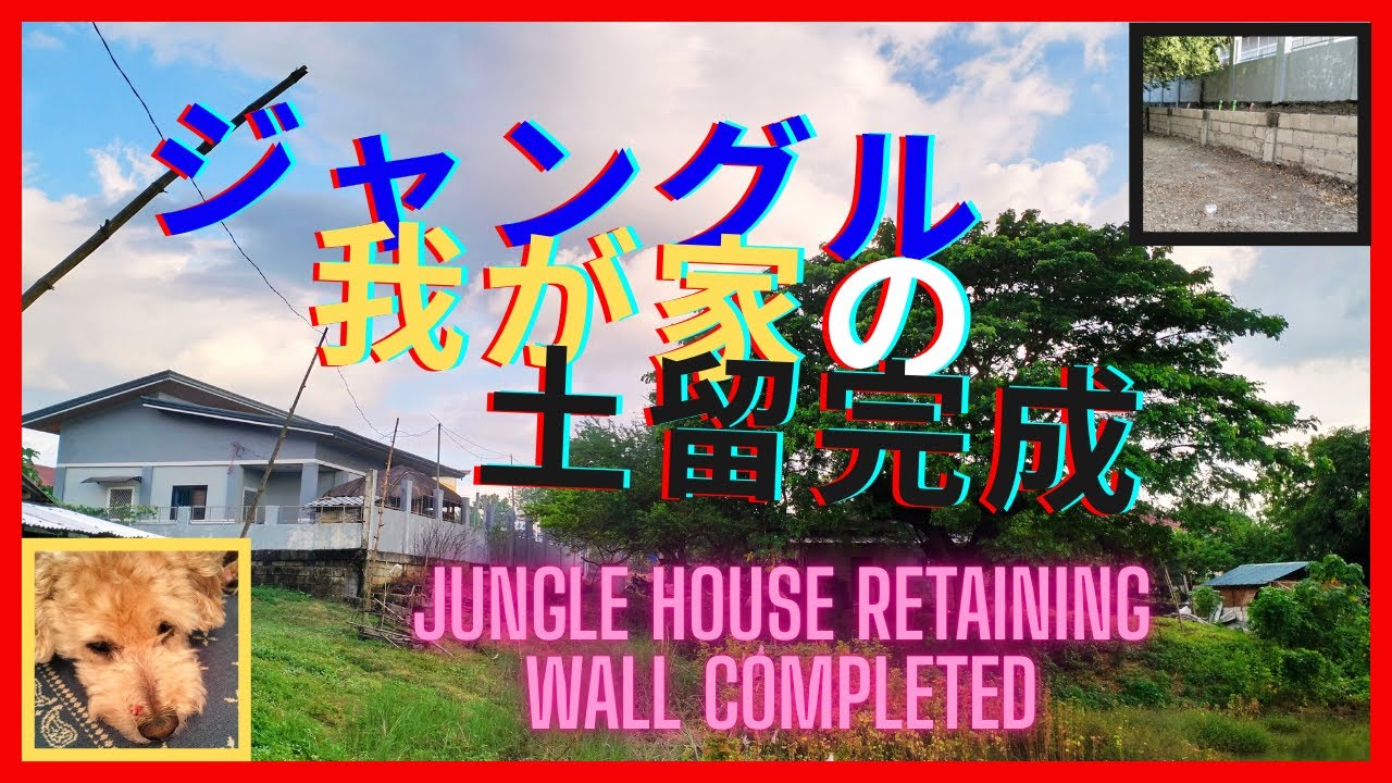 ジャングル我が家の土留完成　Jungle house retaining wall completed