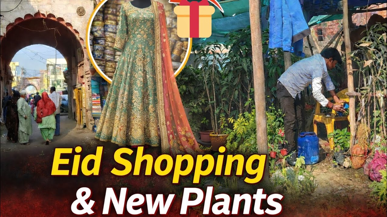 Eid Ki Shopping🛍️Fruits Ke Plants🌱 Ramadan Ki Barkate